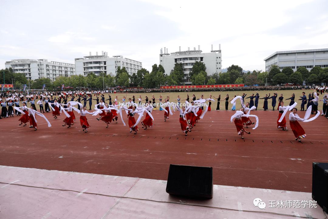 体育赛场精彩纷呈，点燃热血激情