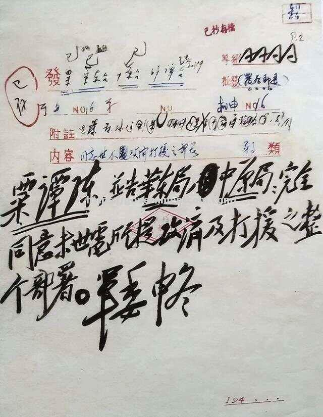 山东队备战关键战役，决胜时刻展现拼搏